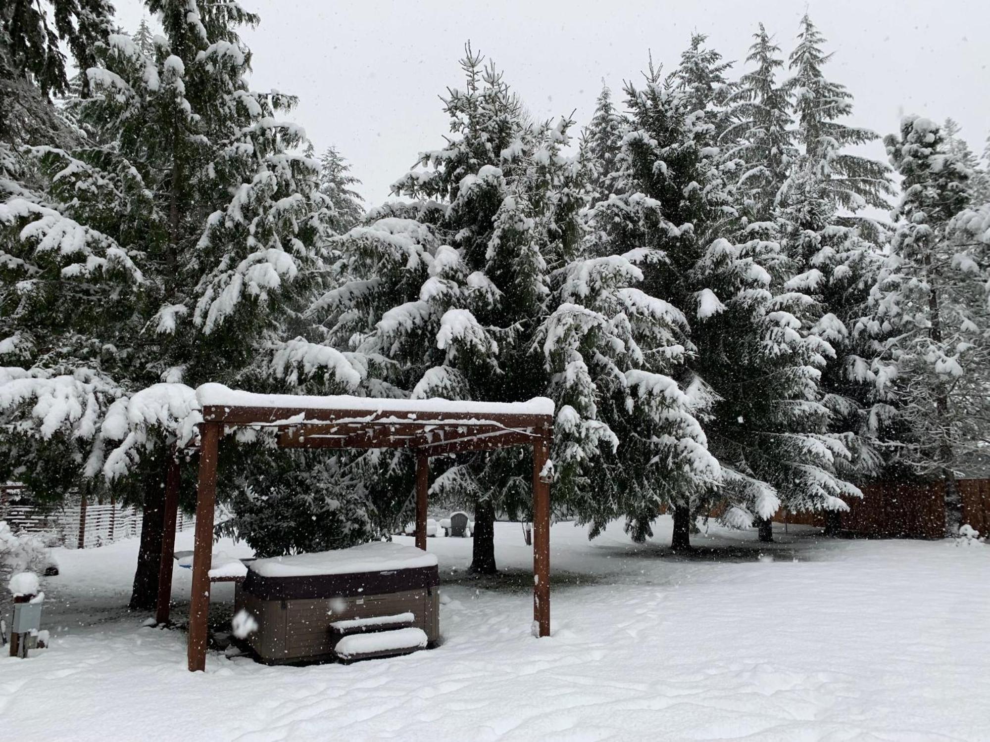 Вилла Bear'S Den Hideaway With Hot Tub Эшфорд Экстерьер фото