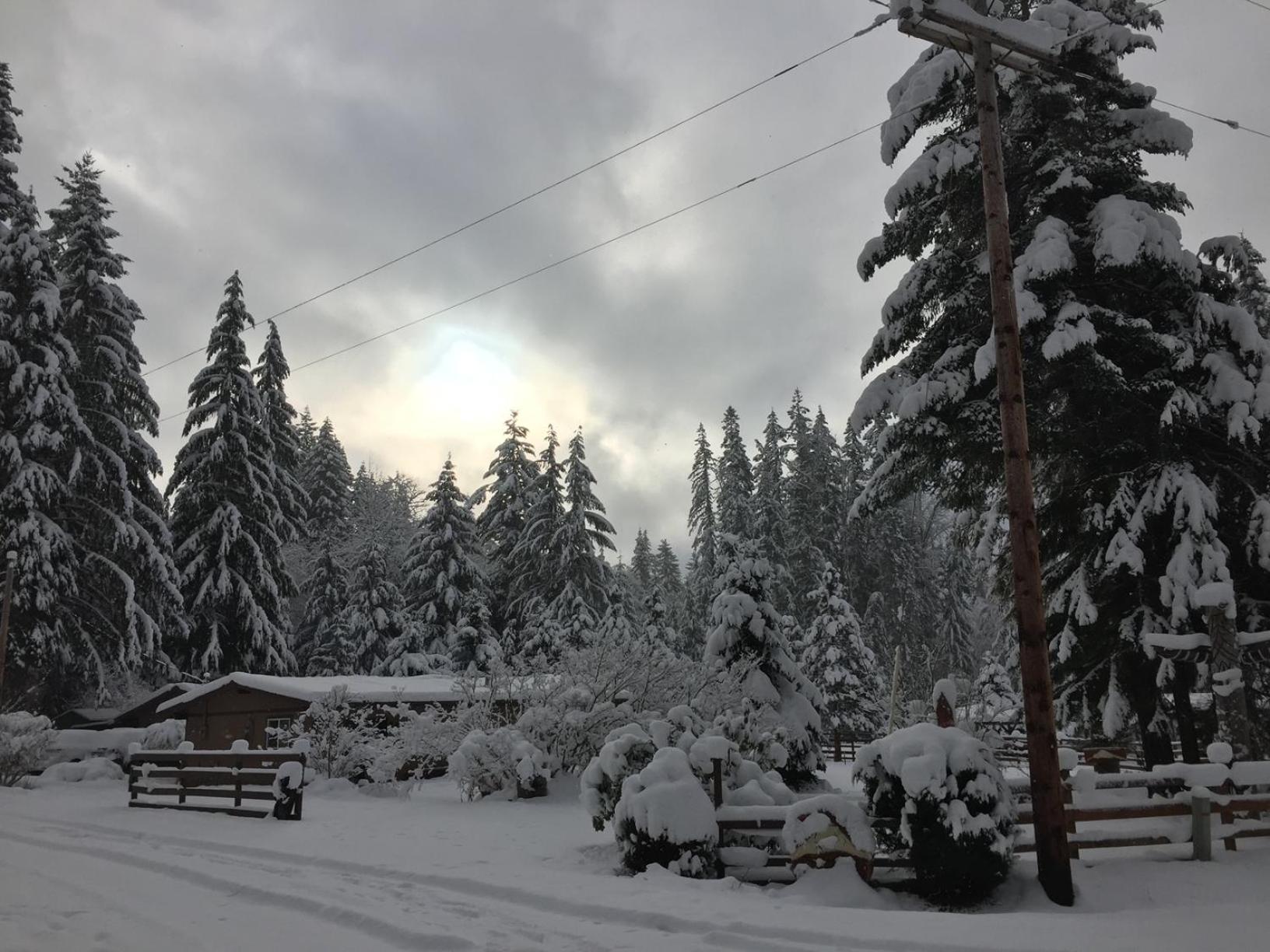 Вилла Bear'S Den Hideaway With Hot Tub Эшфорд Экстерьер фото